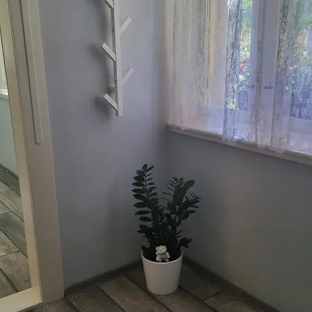 Dom wakacyjny Falusi Haz Toth Gyoergy Bajsa