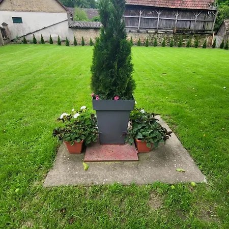 Nyaraló Tóth György *