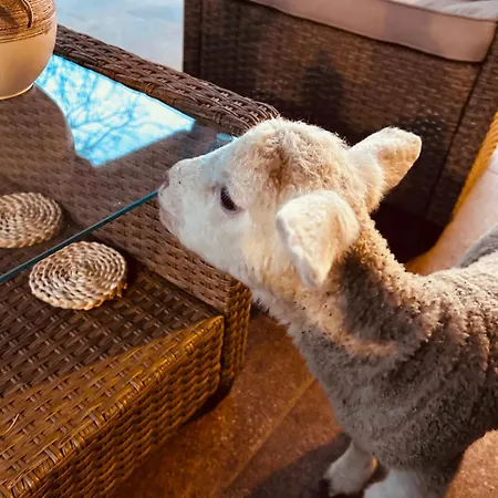 Nyaraló Tóth György