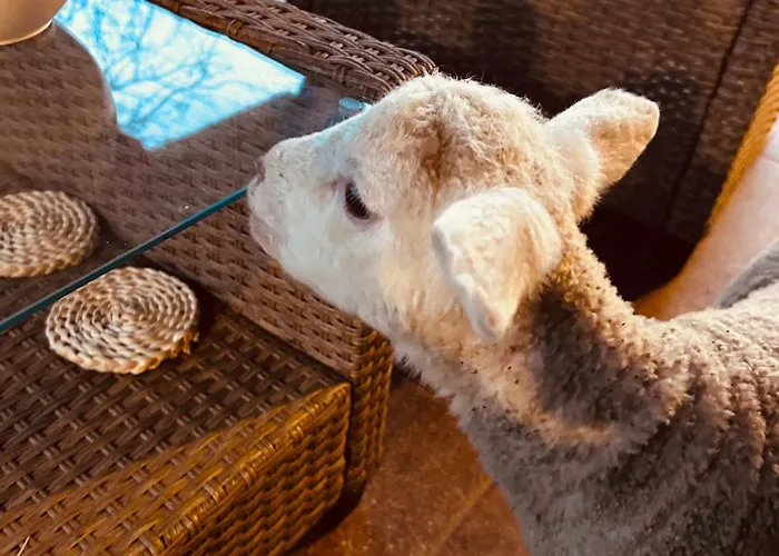 Casa vacanze Tóth György